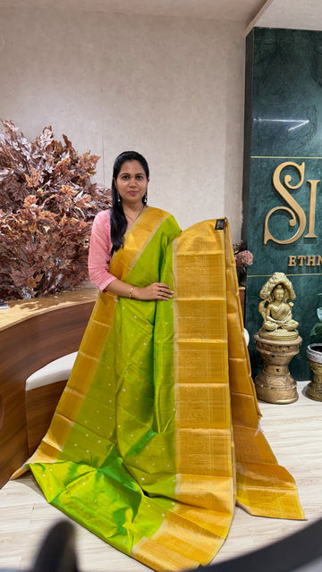 Handloom gadwal pattu