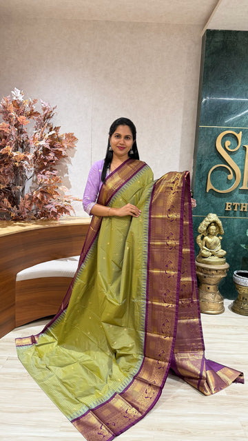 Semi Gadwal
