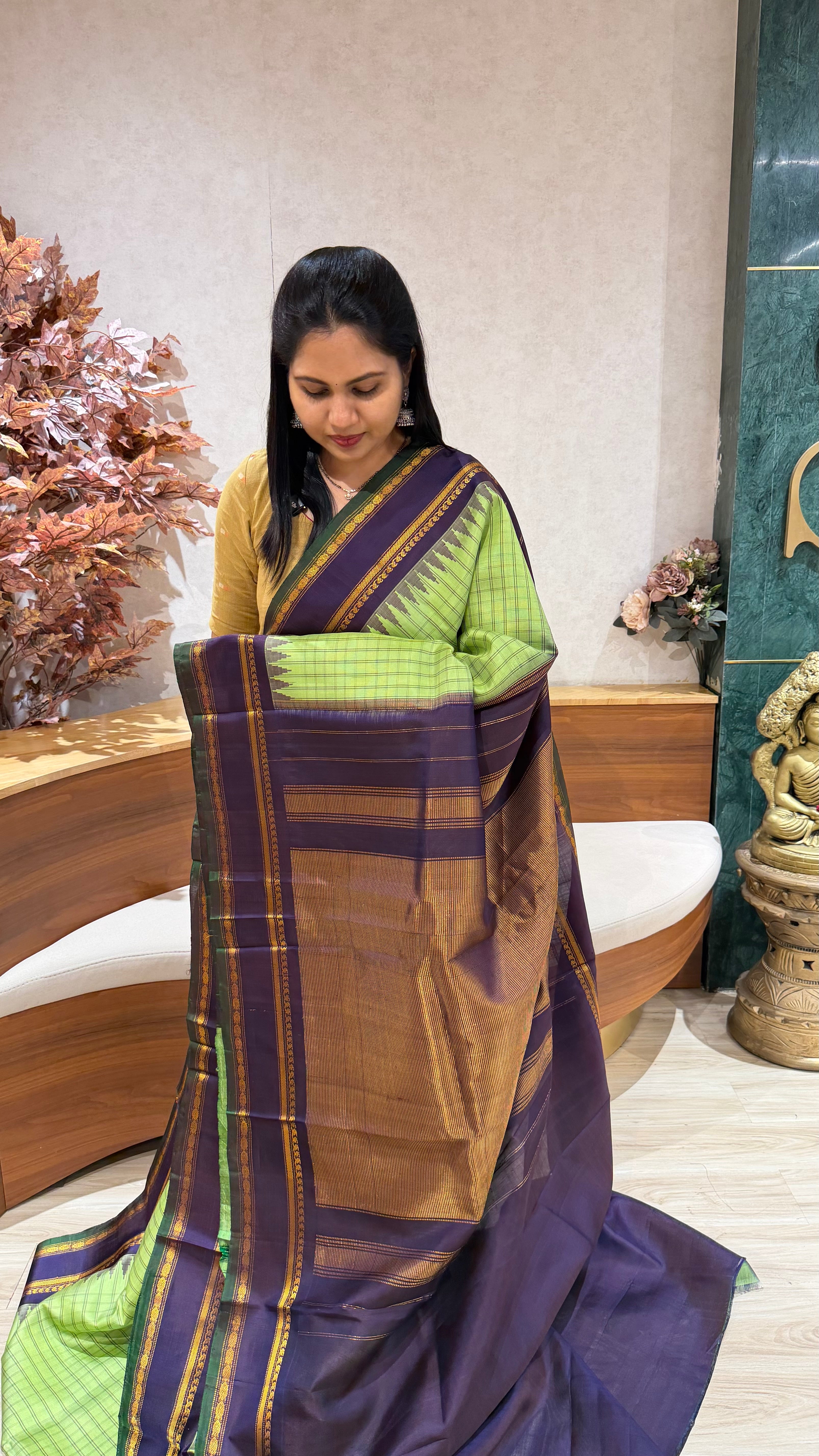 Handloom gadwal pattu
