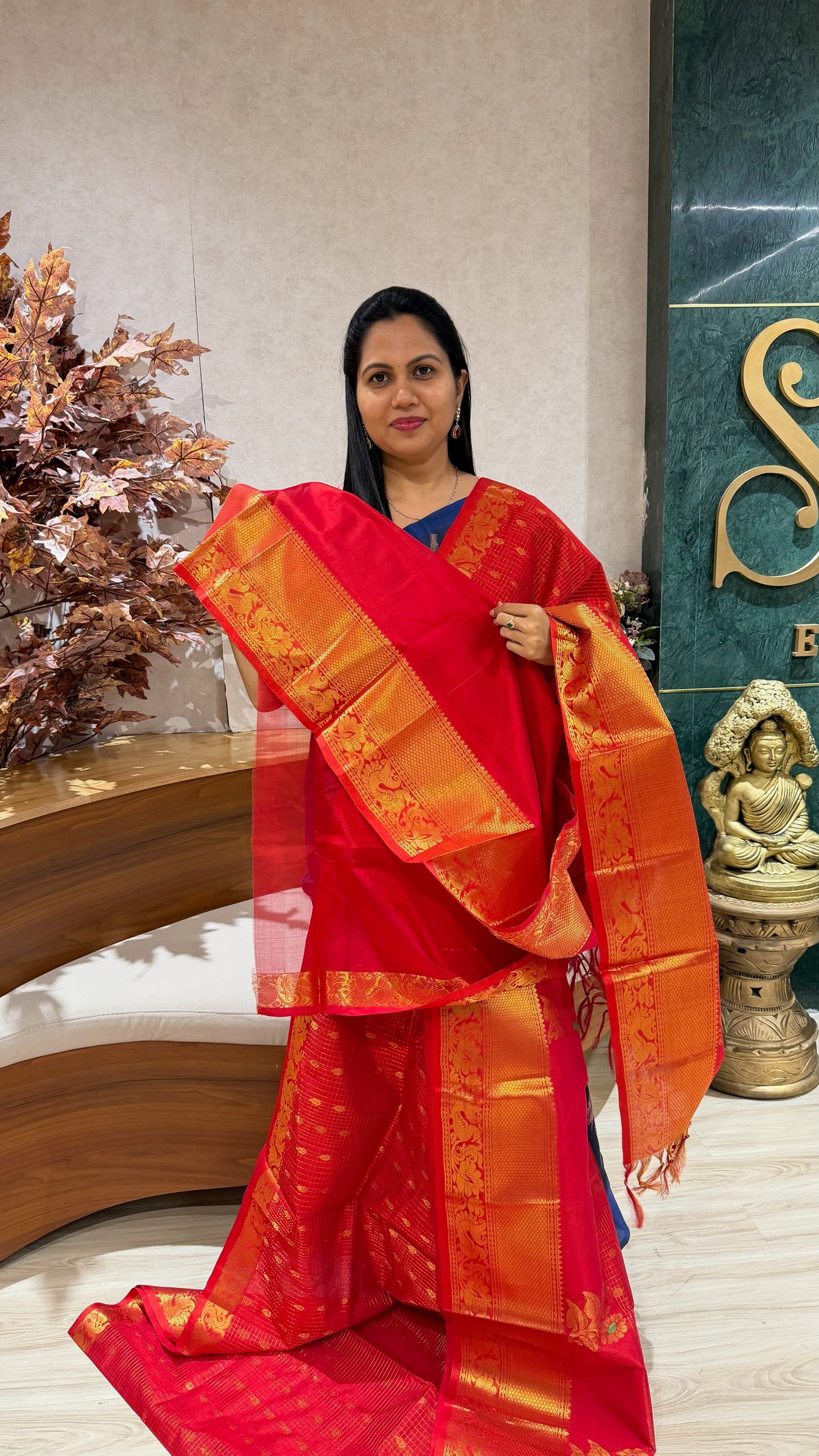 Handloom mangalgiri pattu