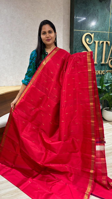 Small border Kanchi pattu