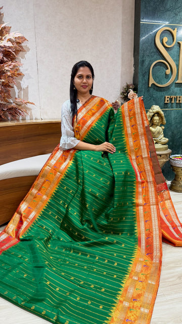 Handloom  Gadwal tissue muniya border