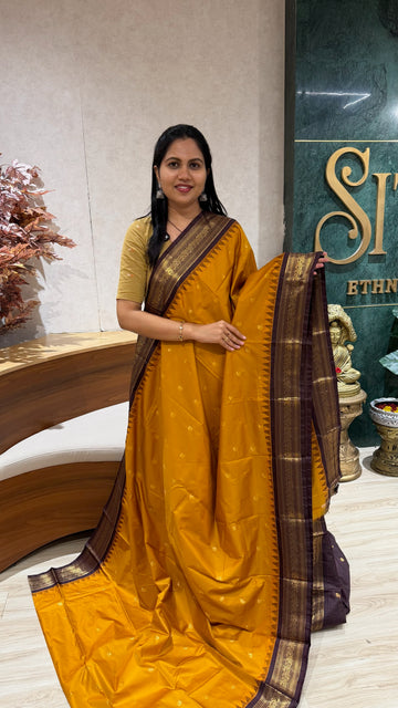 Semi kanchi mustard yellow dark