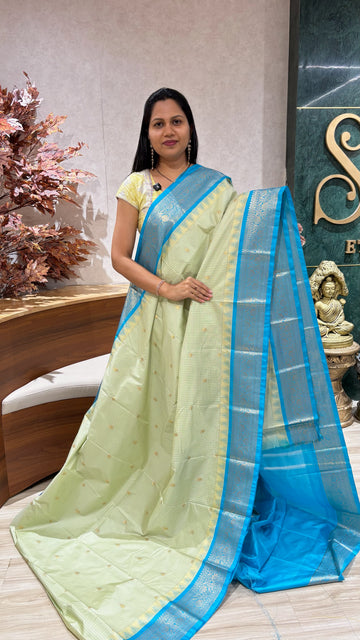 Semi gadwal