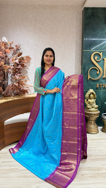 Semi gadwal