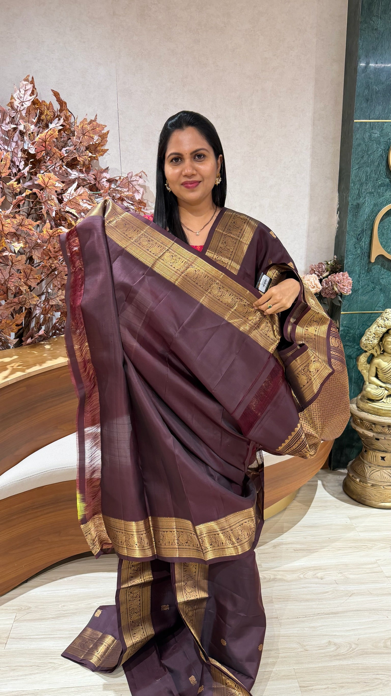 Handloom kanchi pattu
