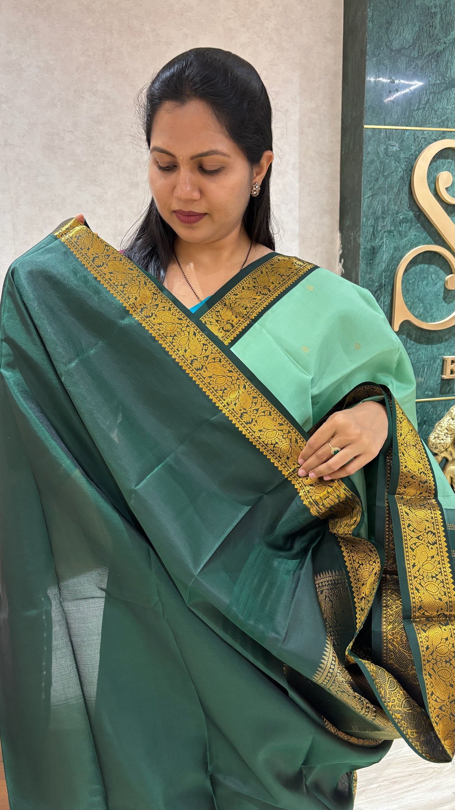 Handloom kanchi pattu