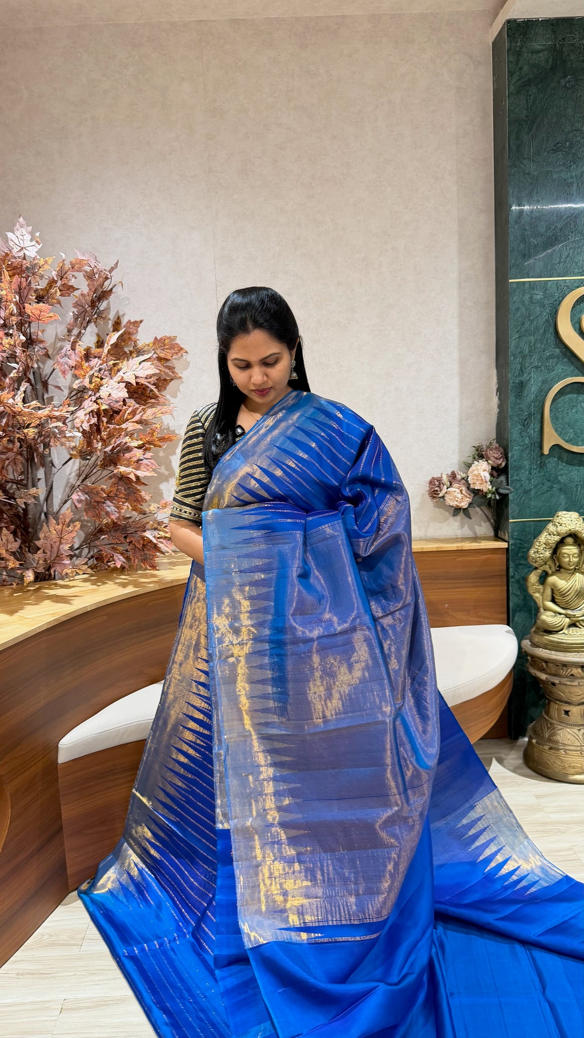 Handloom Gadwal tissue border
