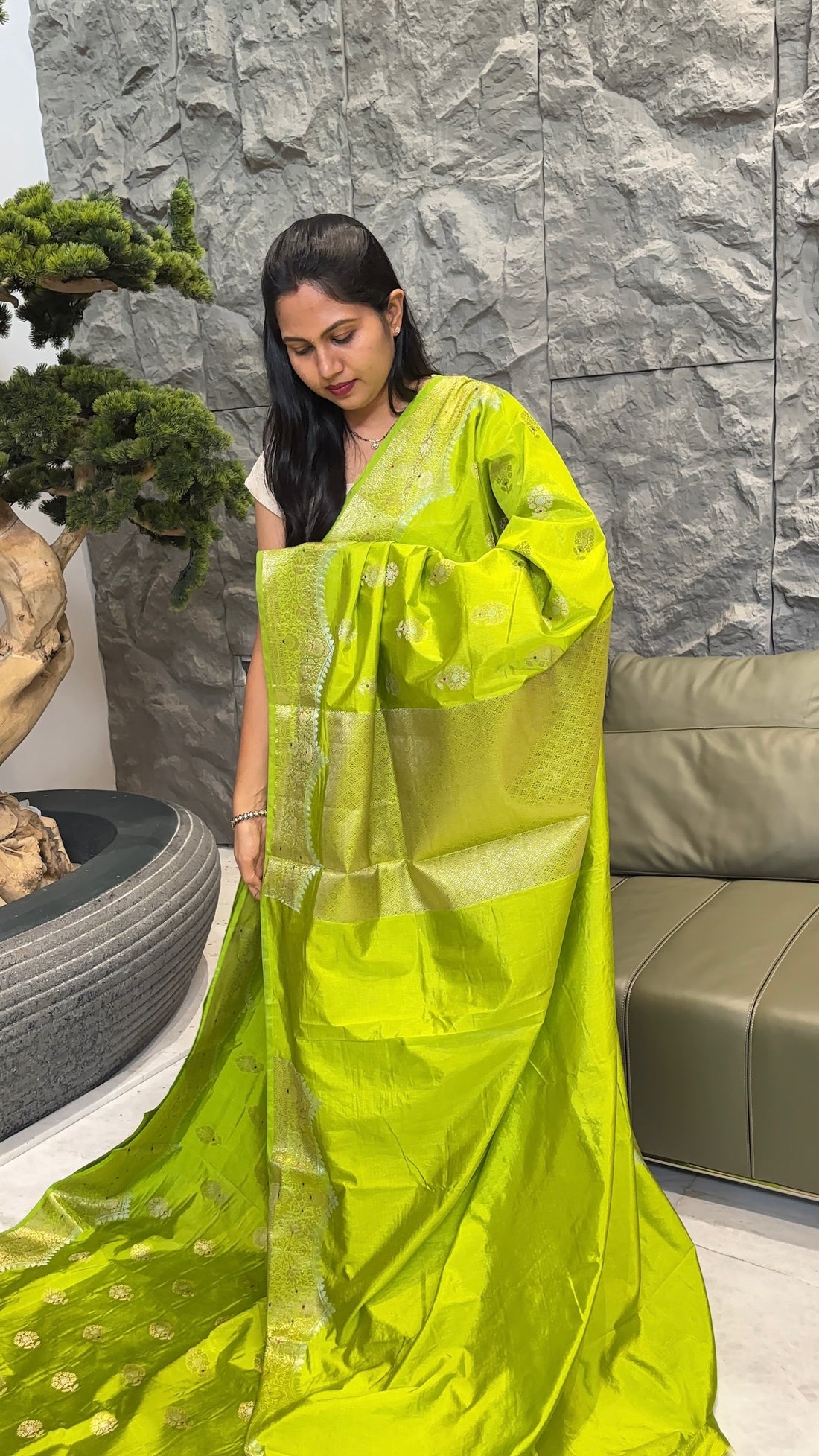 Green mango parrot green
