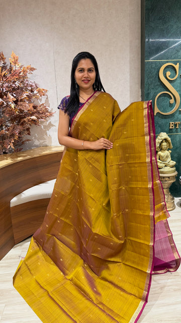 Small border kanchi pattu