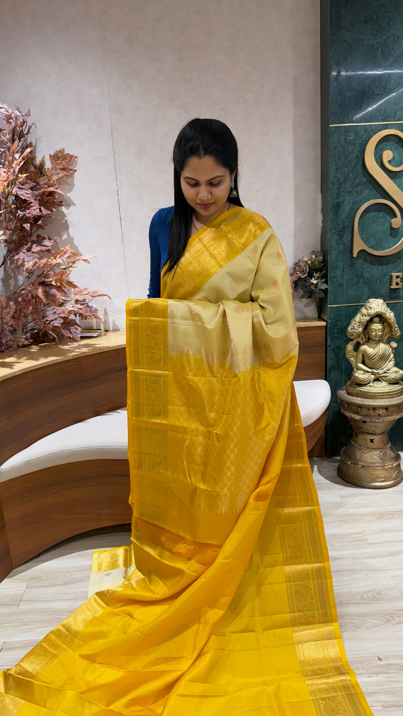 Handloom Light weight Kanchi pattu