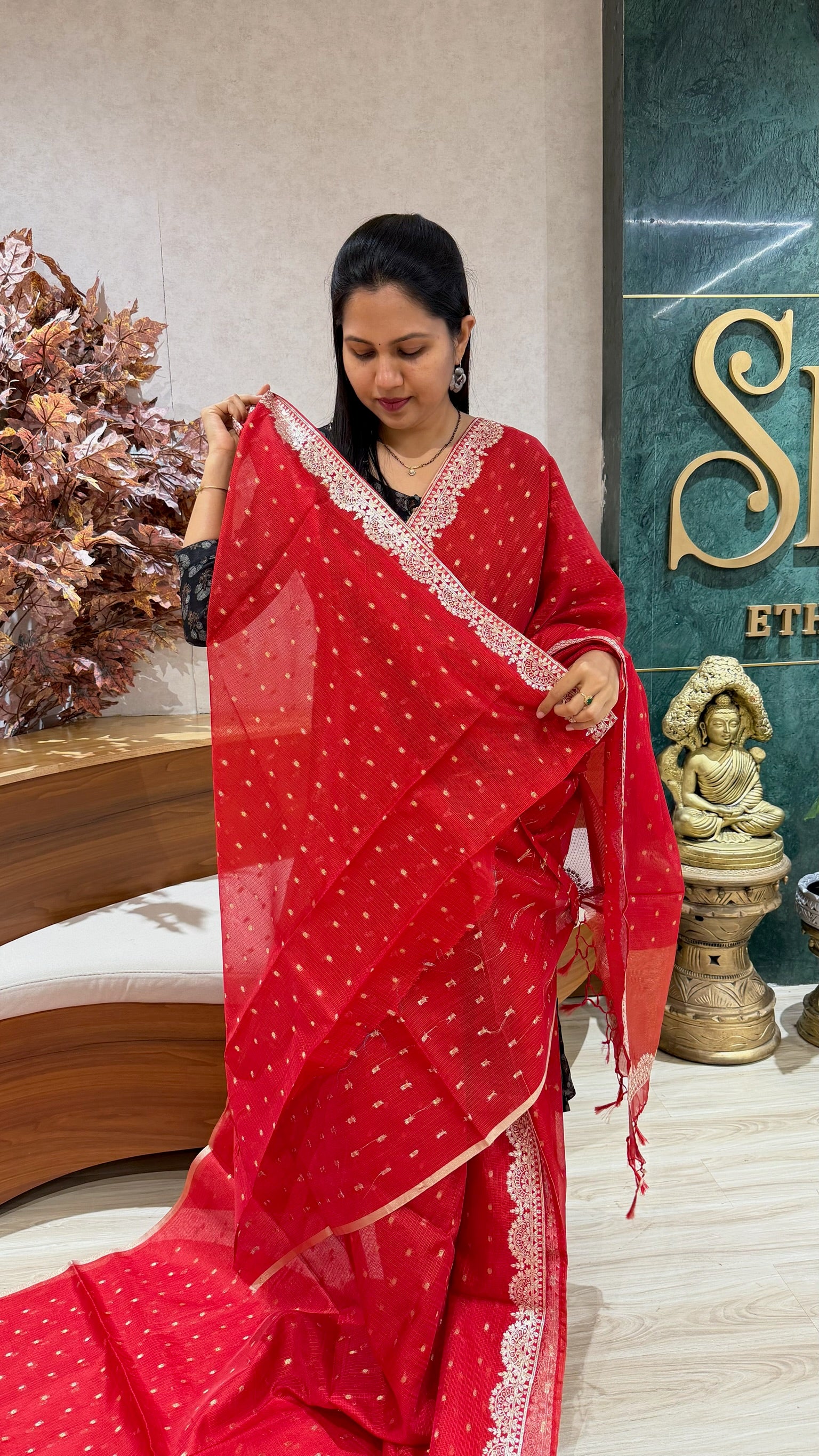 Fancy kota pittai red
