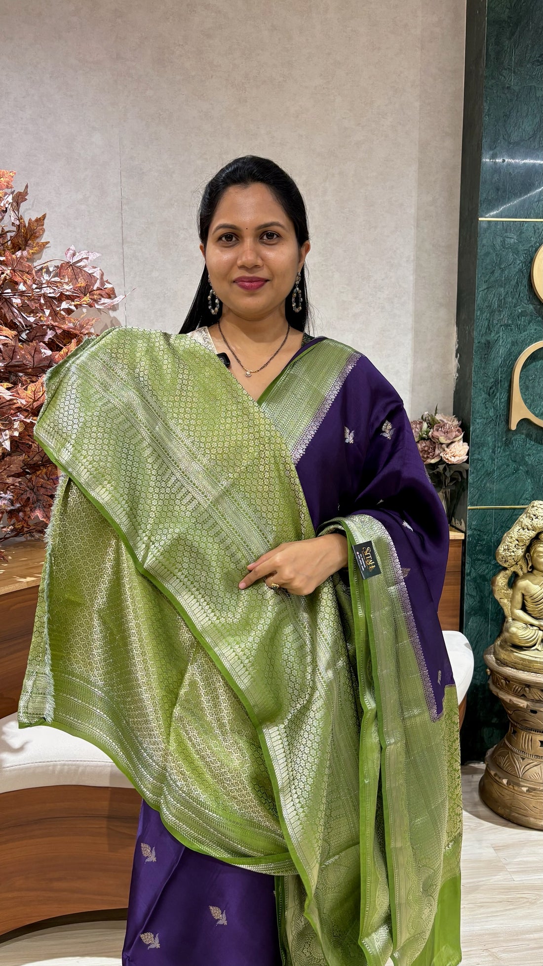Banaras fancy pattu