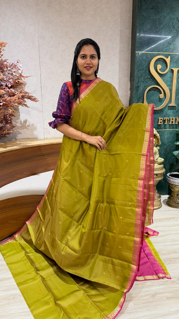 Small border kanchi pattu