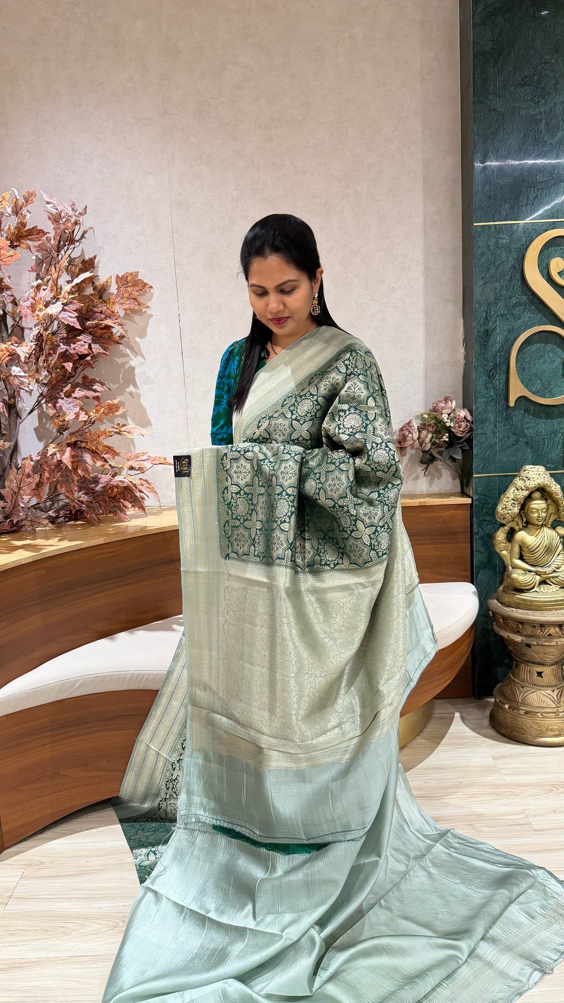 Handloom banaras pattu