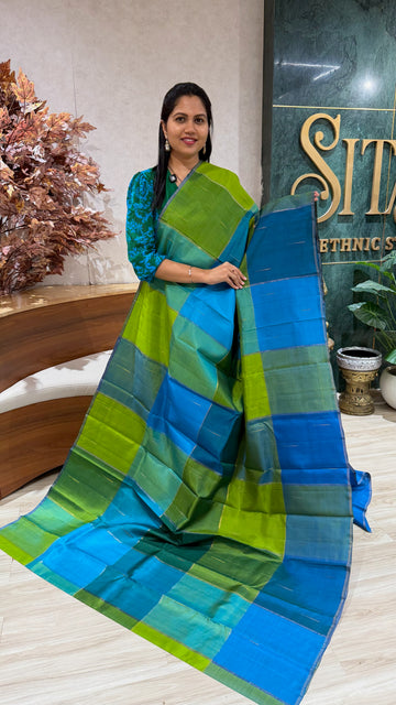 Handloom vintage pattu