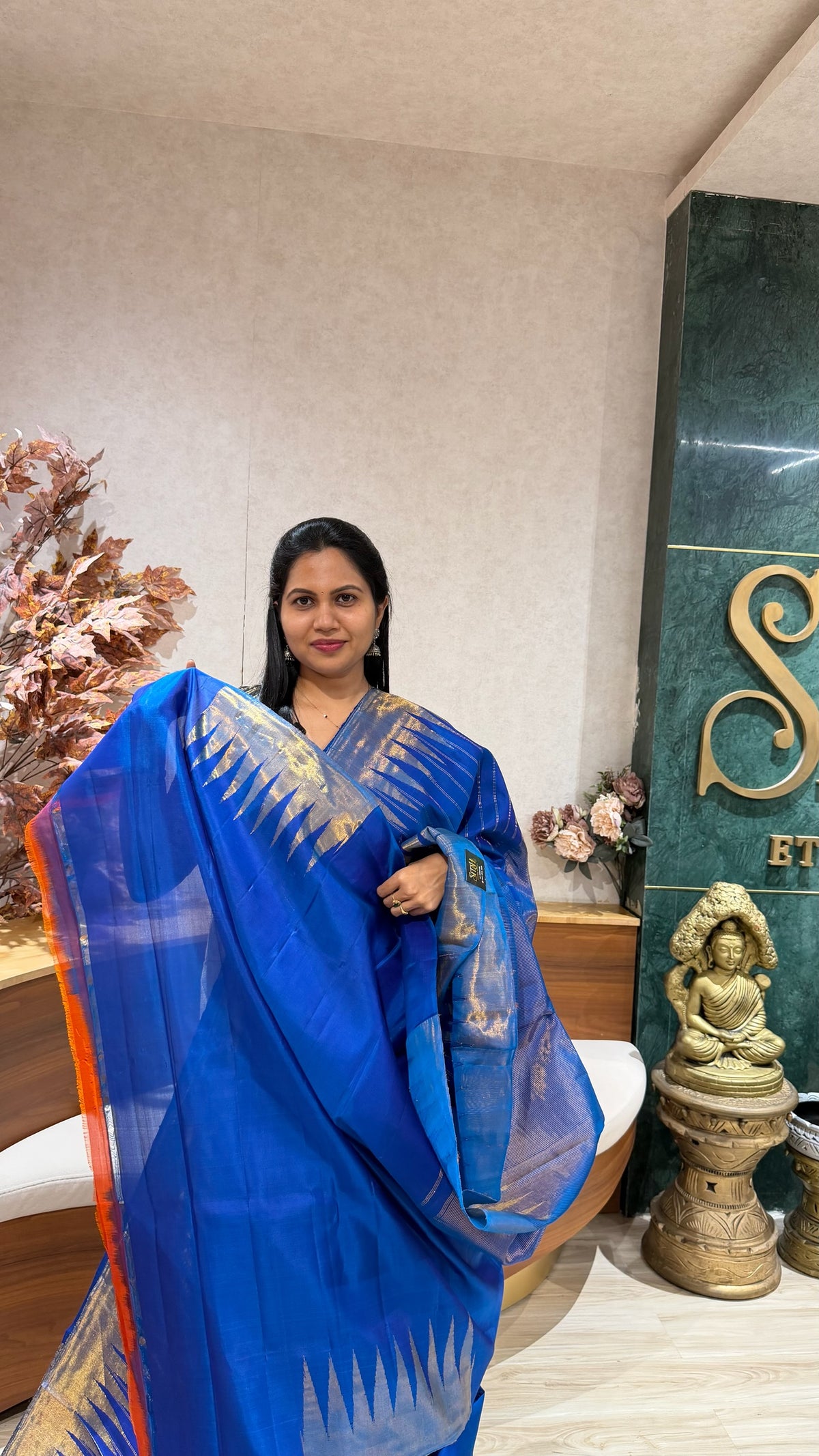 Handloom Gadwal tissue border