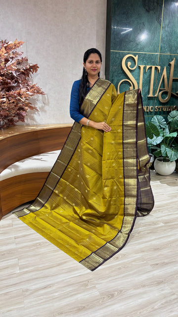 Handloom Kanchi pattu