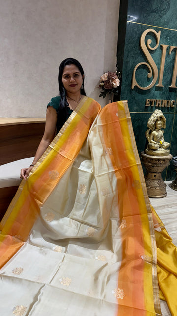 Handloom mango pattu