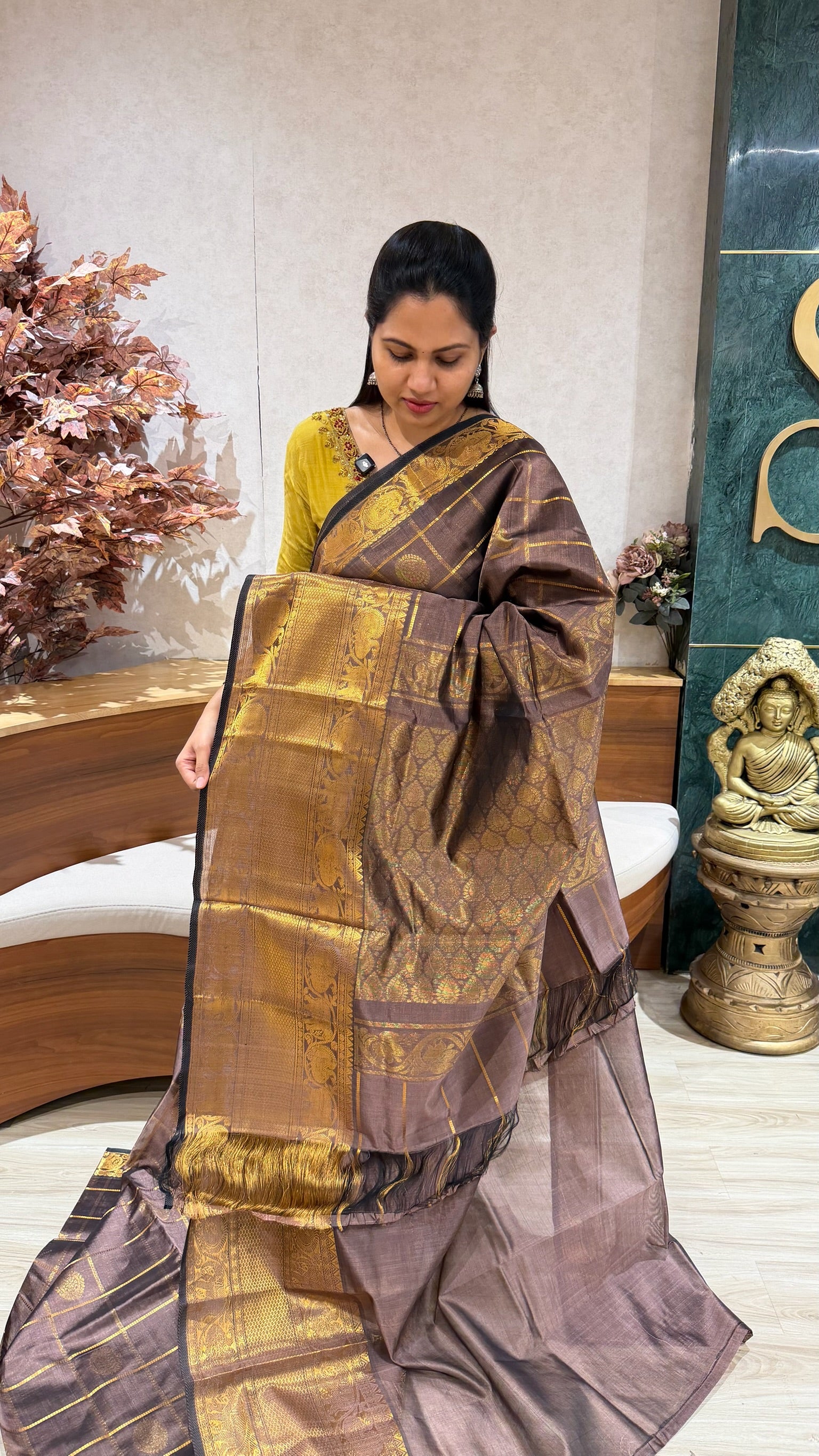 Handloom mangalgiri pattu