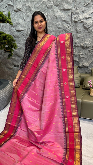 Pure handloom gadwal pattu