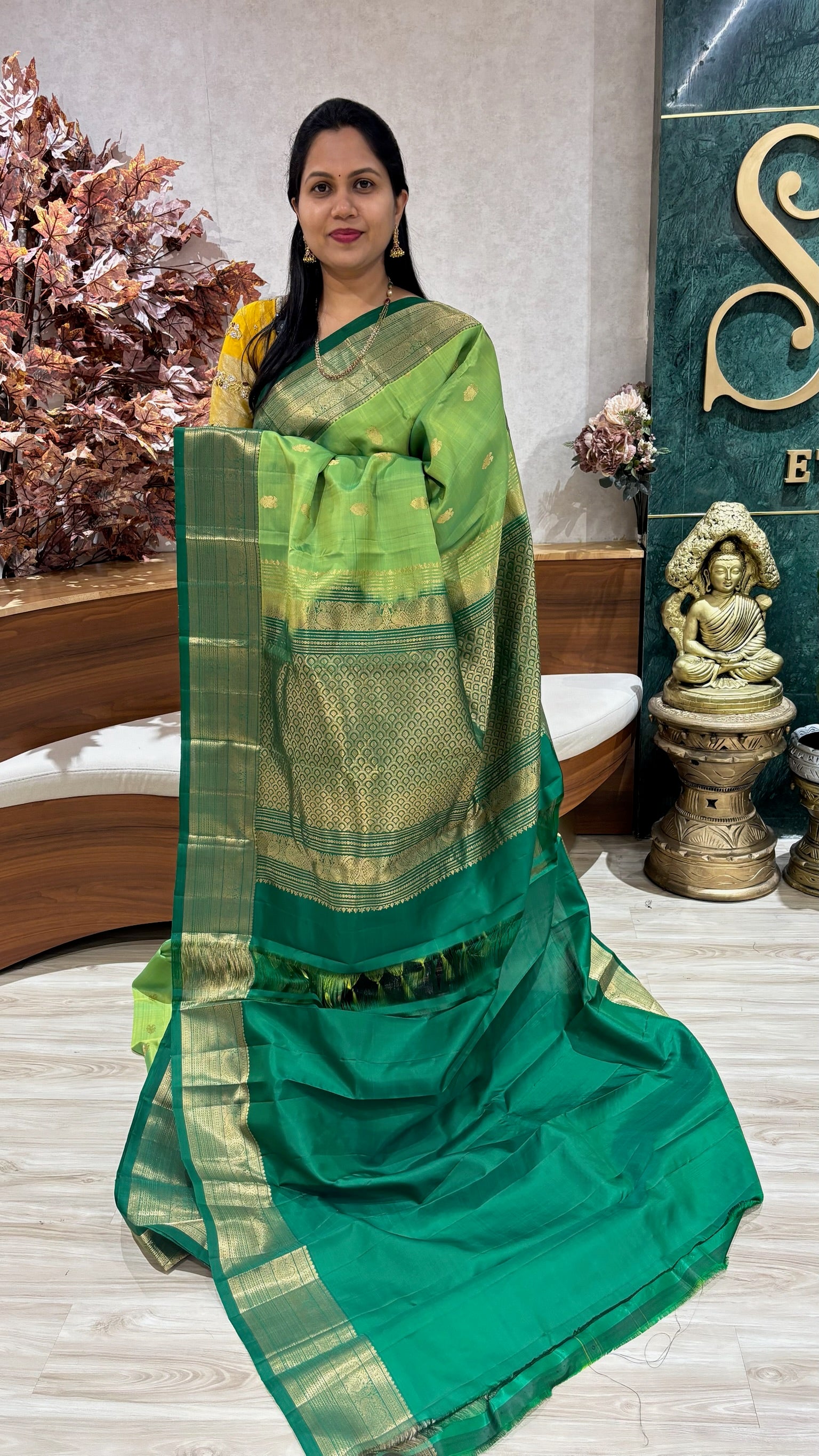 Handloom kanchi pattu