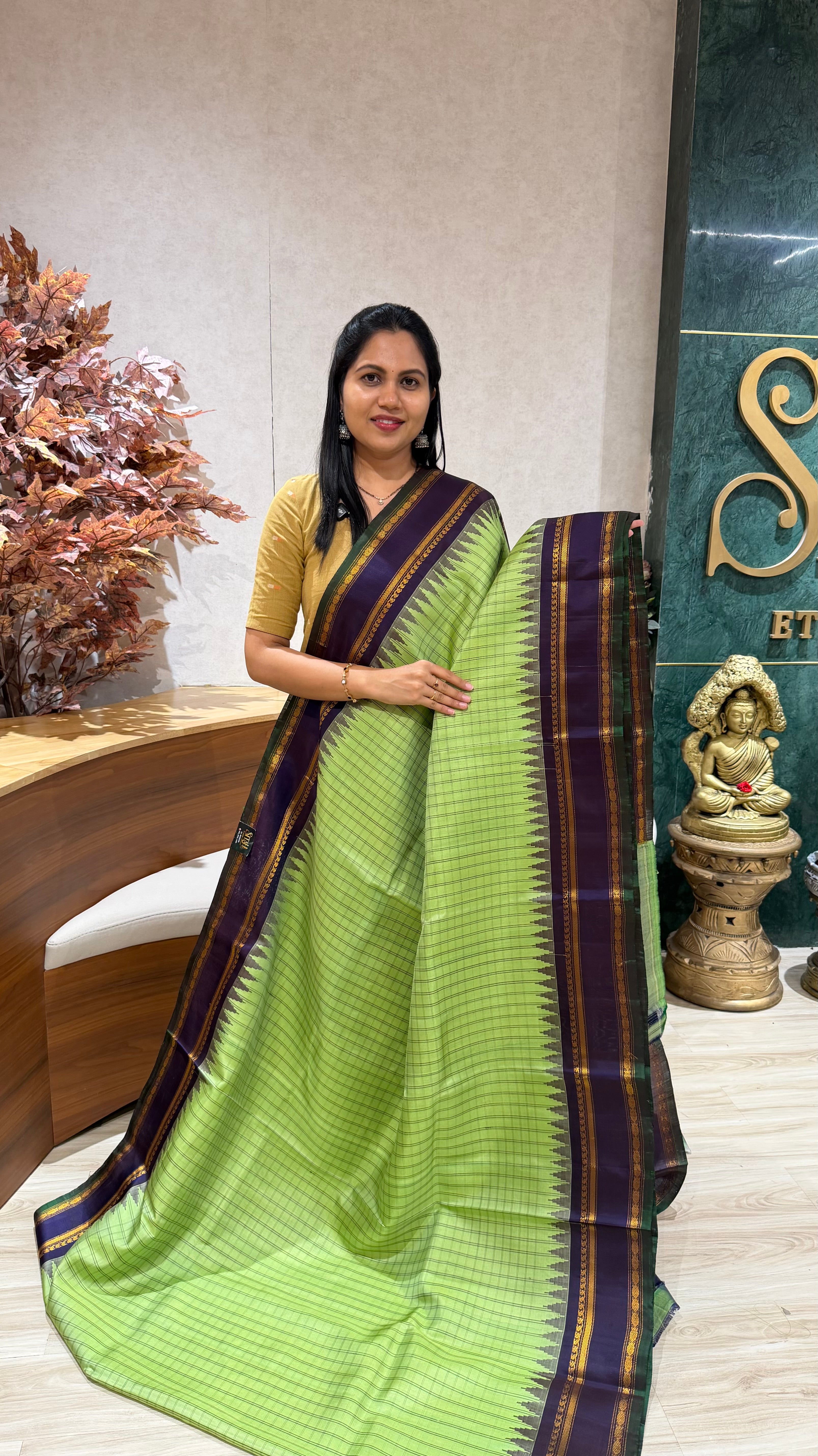 Handloom gadwal pattu