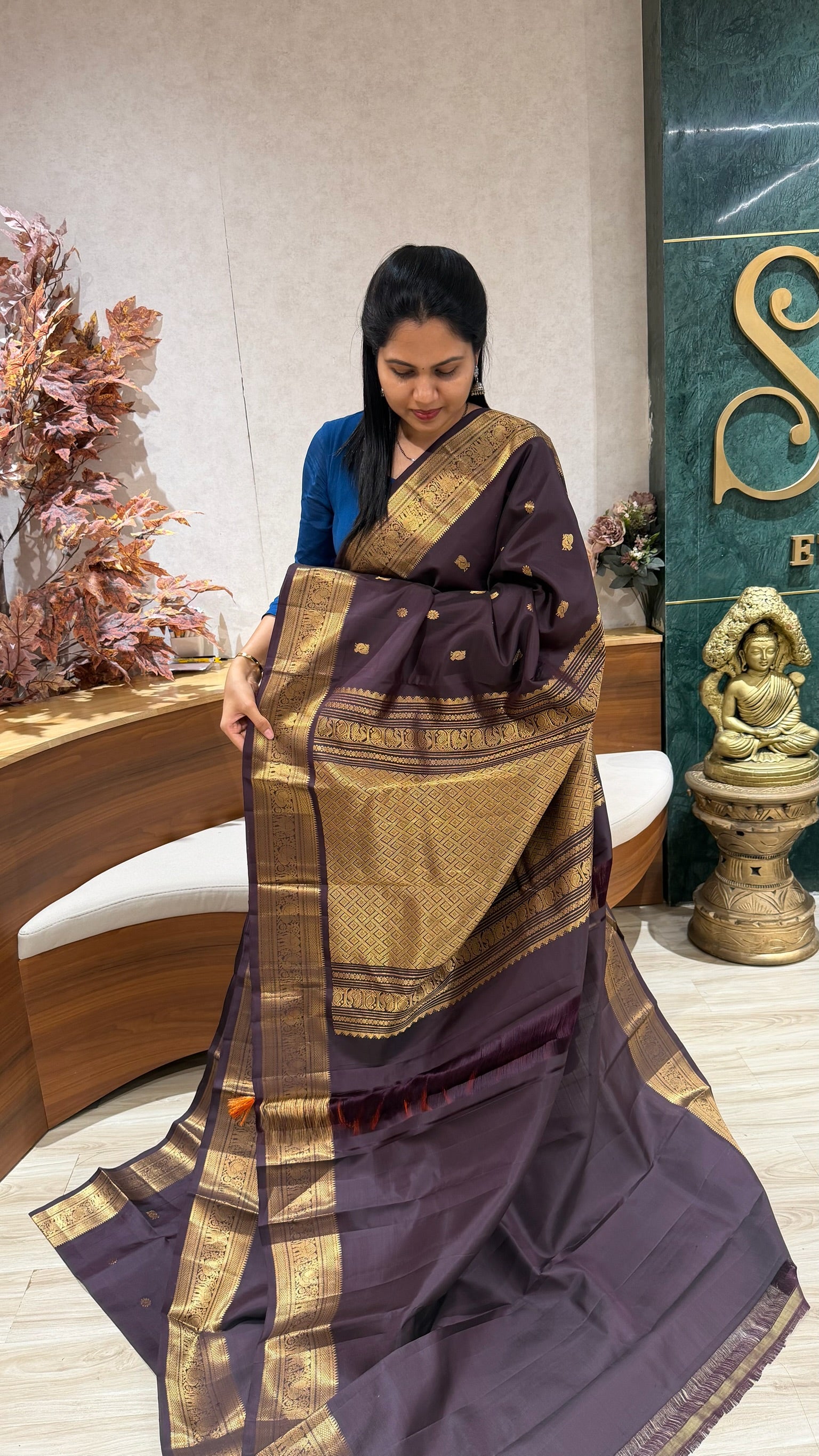 Handloom Light weight Kanchi pattu