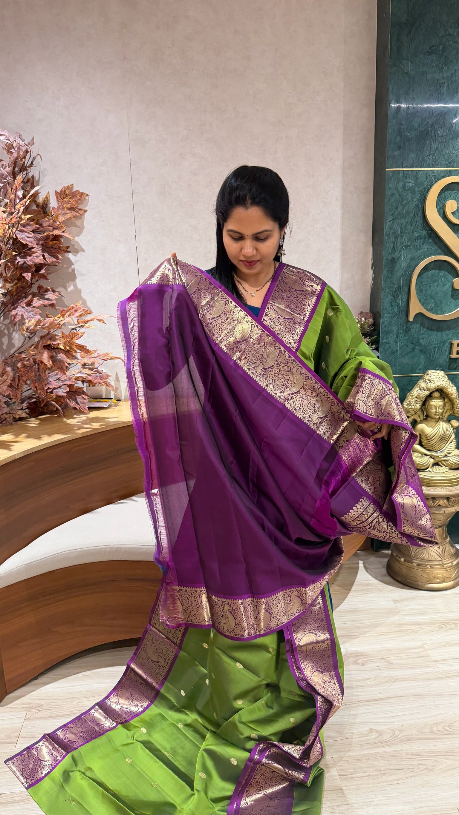 Handloom Light weight Kanchi pattu