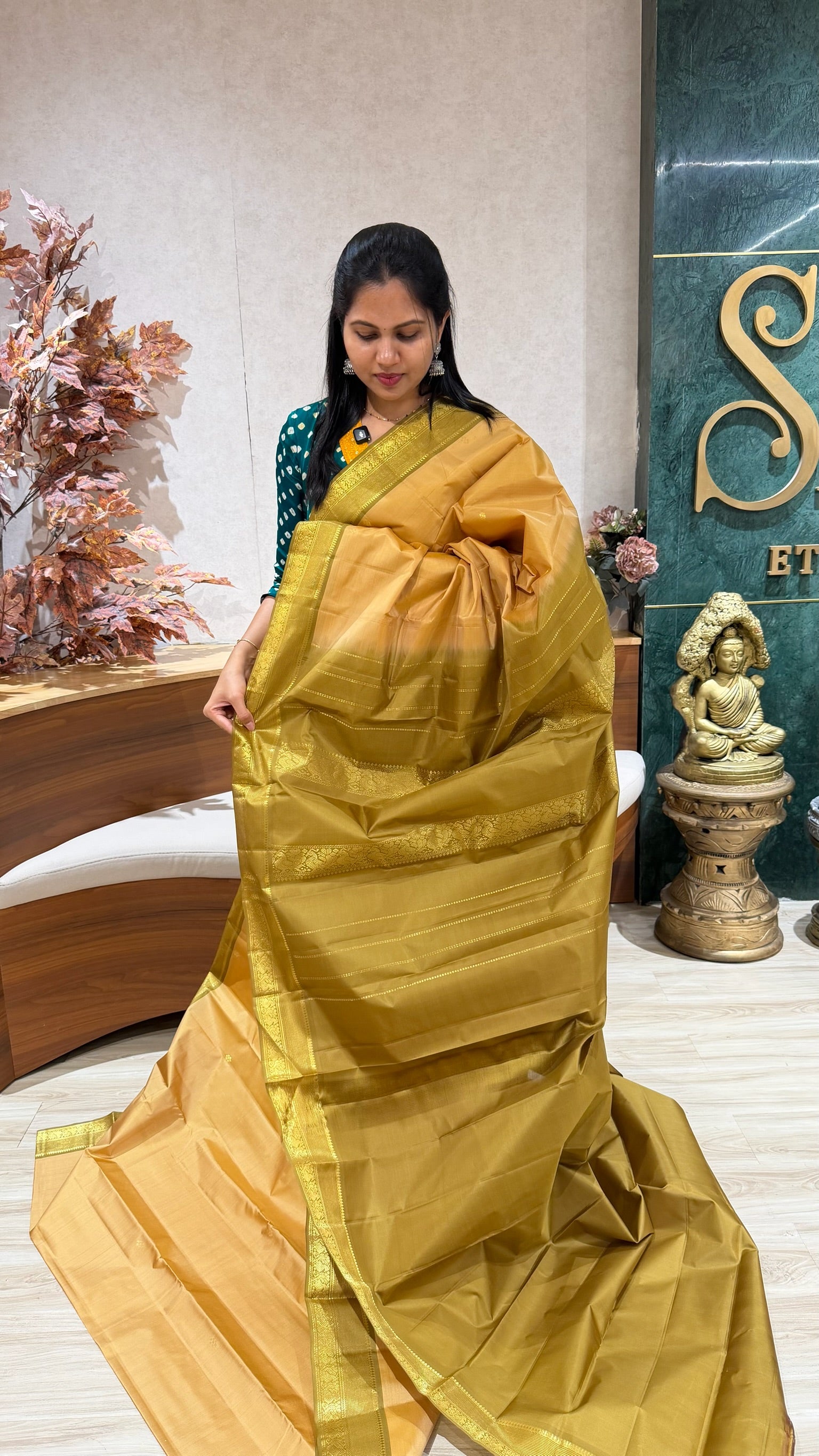 Vintage kanchi pattu