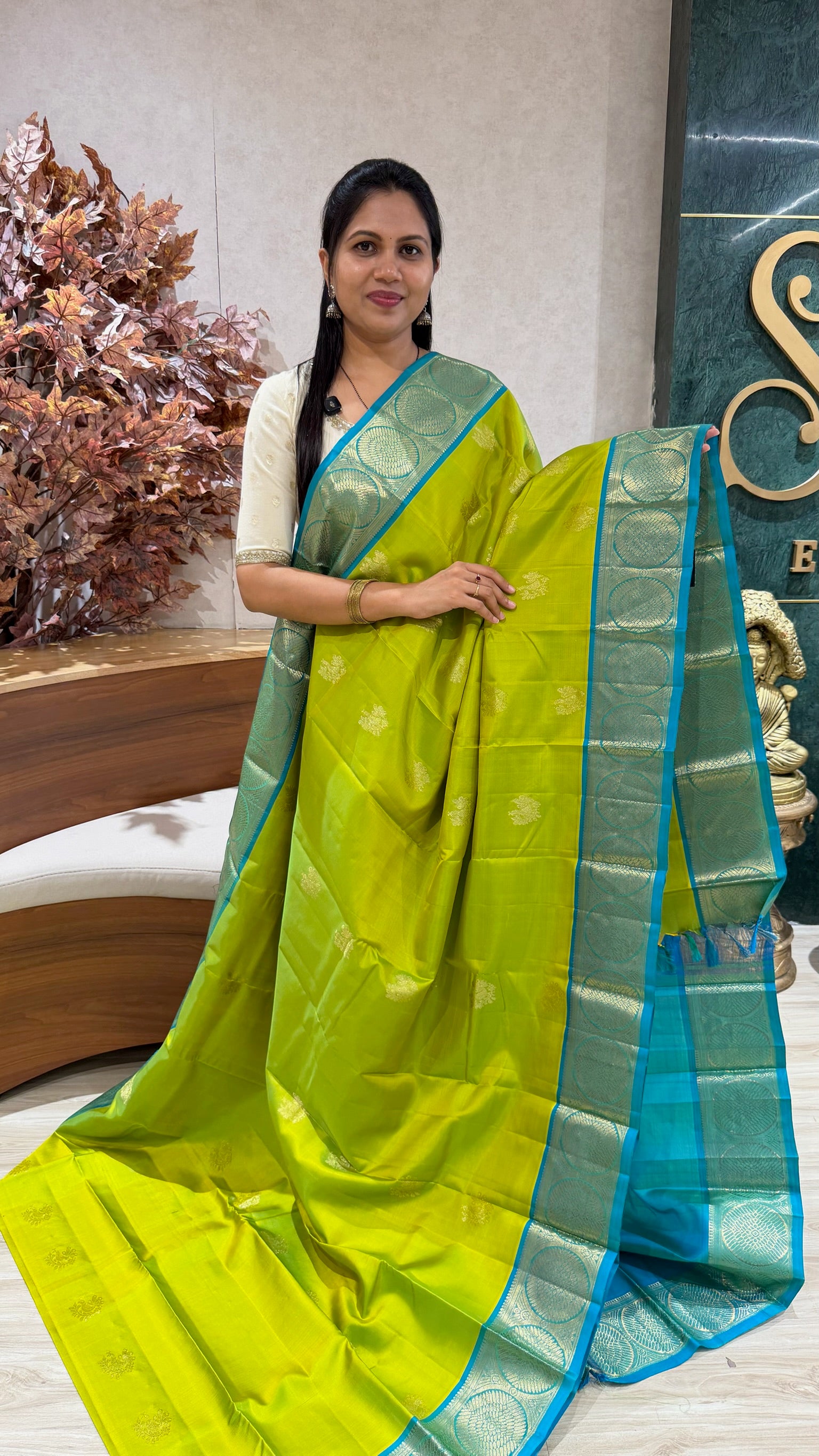 Handloom kanchi pattu