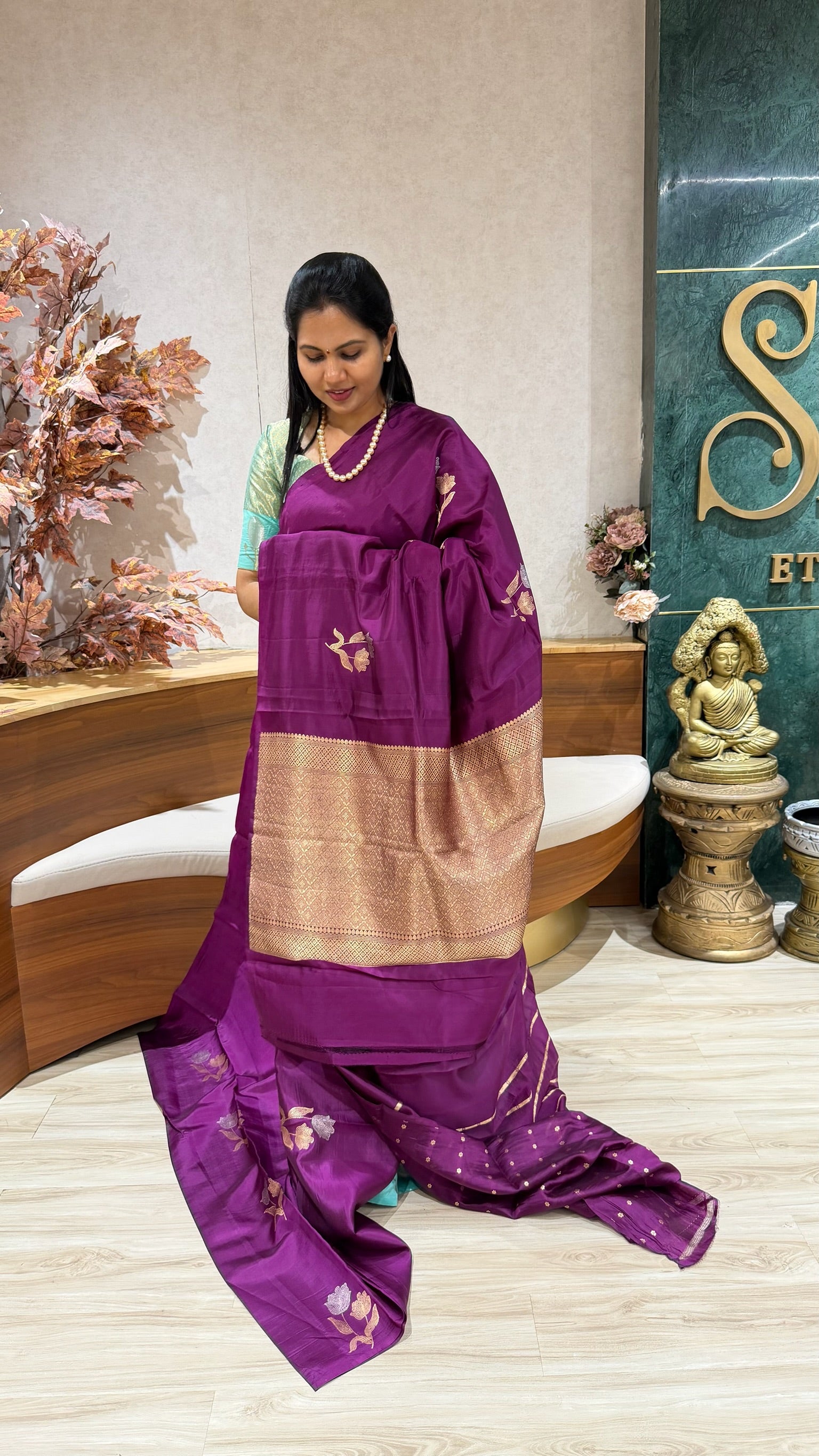 Handloom banaras pattu