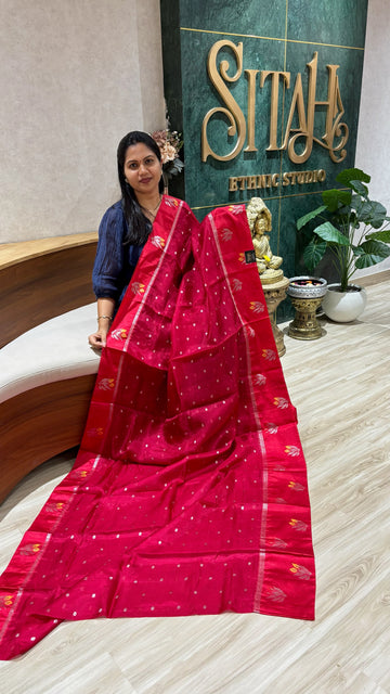 Kota sari