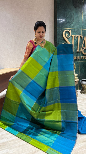 Handloom Kanchi pattu