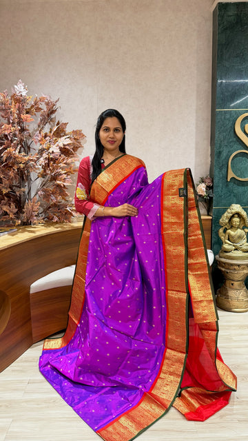Pure Narayanpet pattu