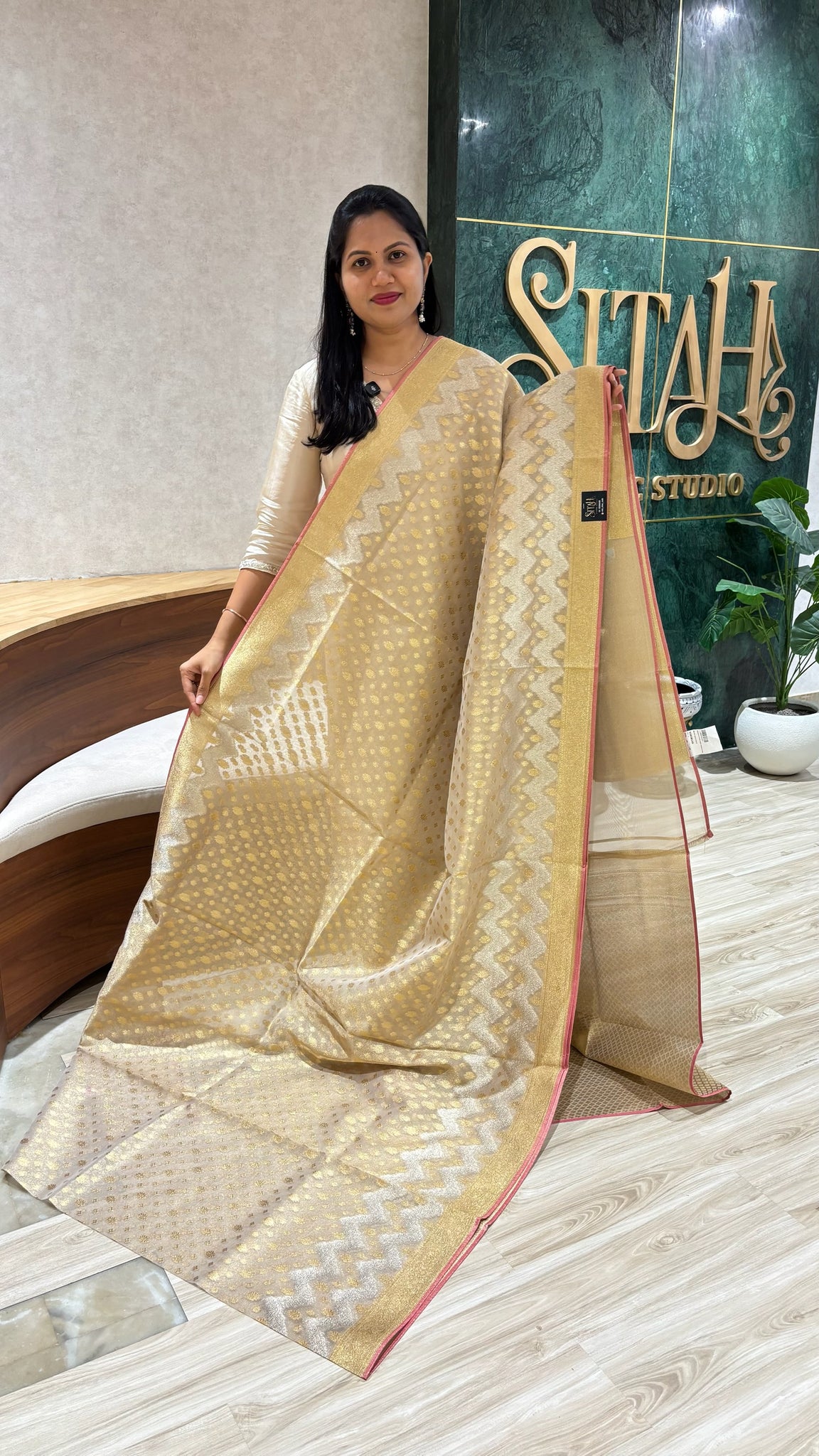 Tissue saree beige shade