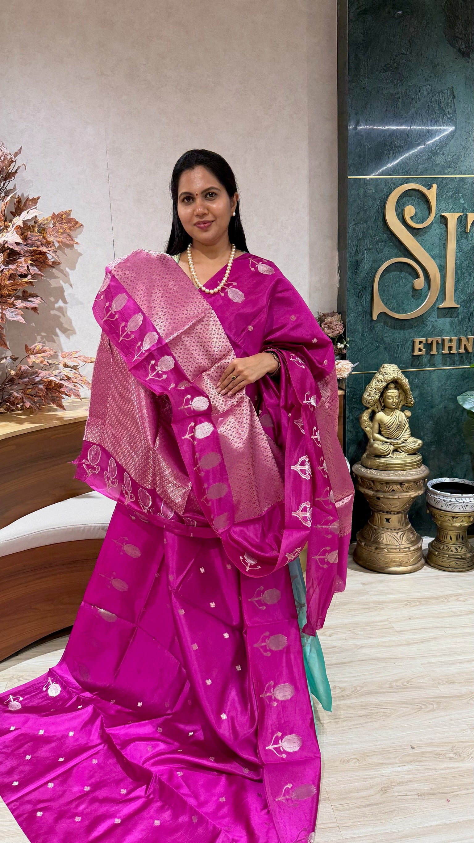 Handloom banaras pattu