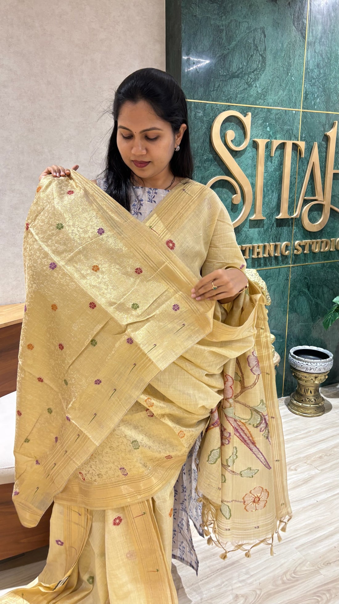 Munga cotton parrot pallu  golden beige