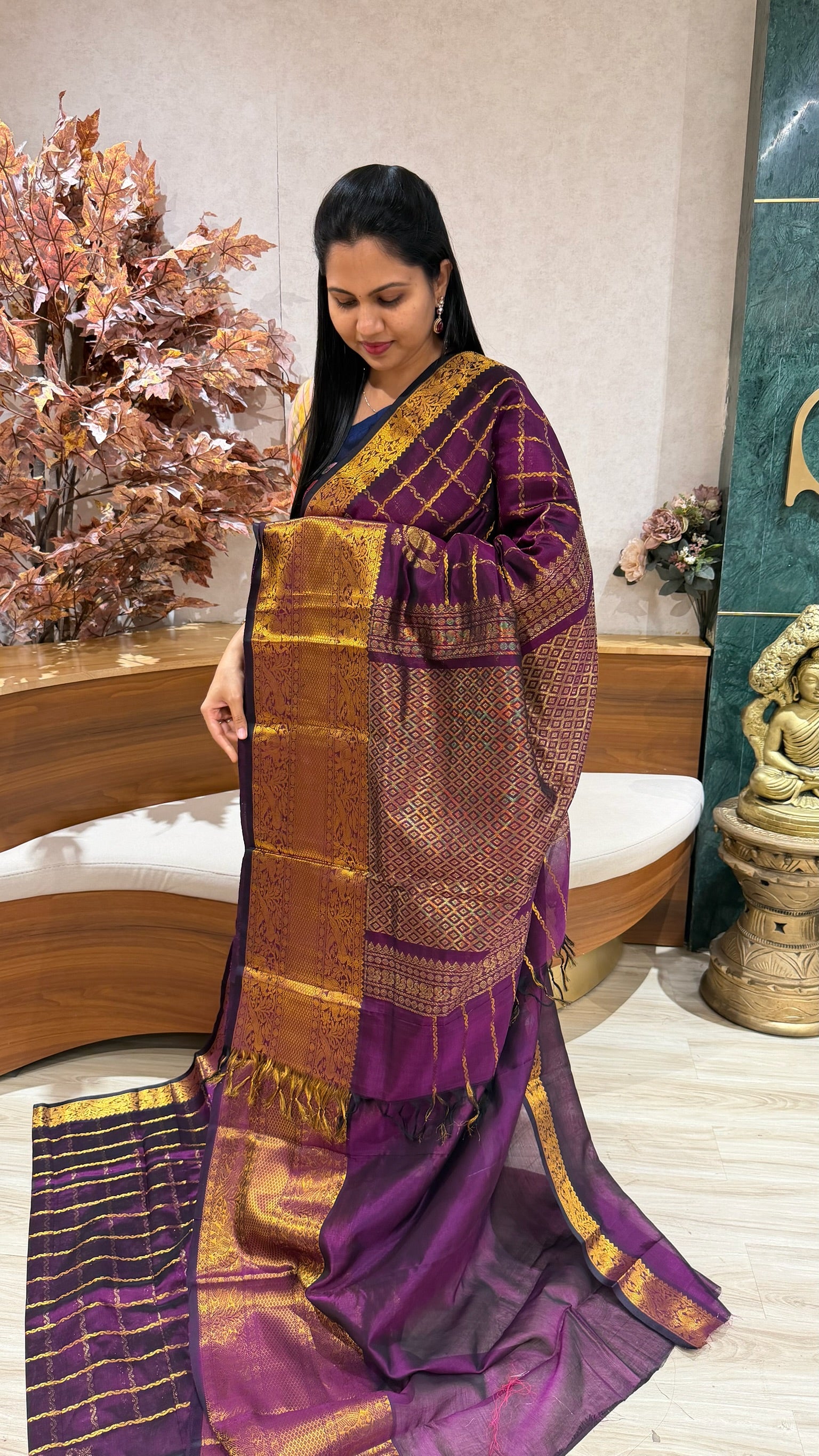 Handloom mangalgiri pattu