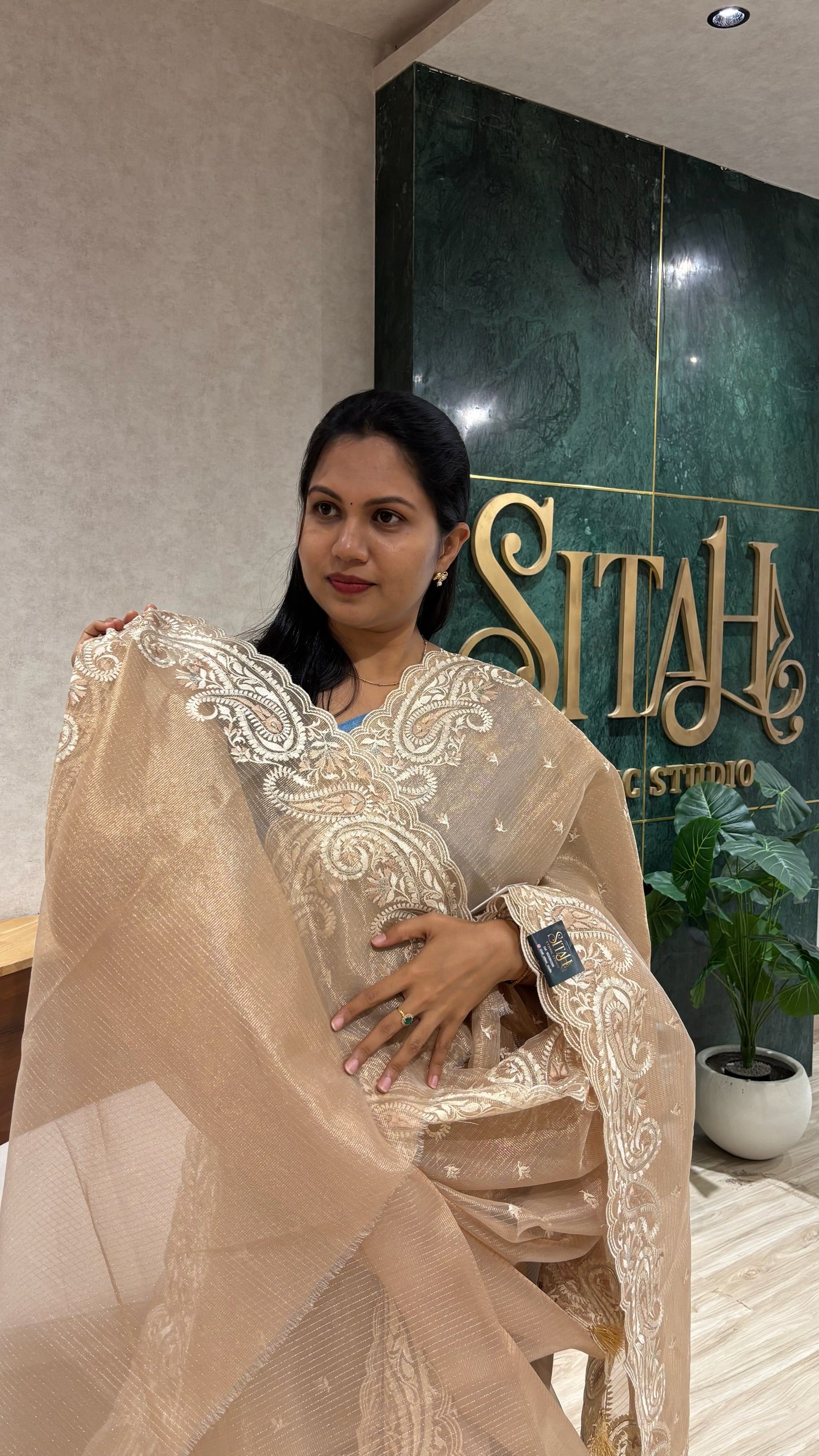 Fancy tissue saree