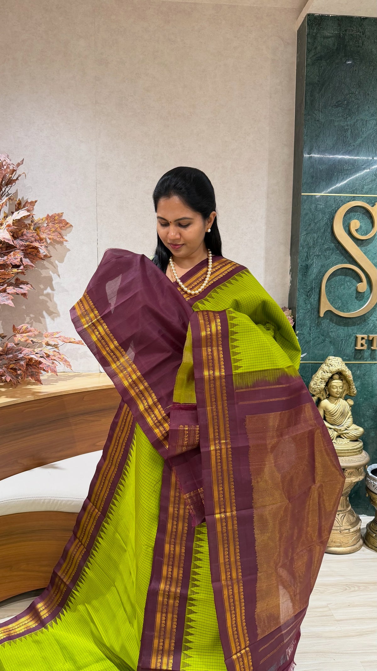 Handloom Gadwal pattu
