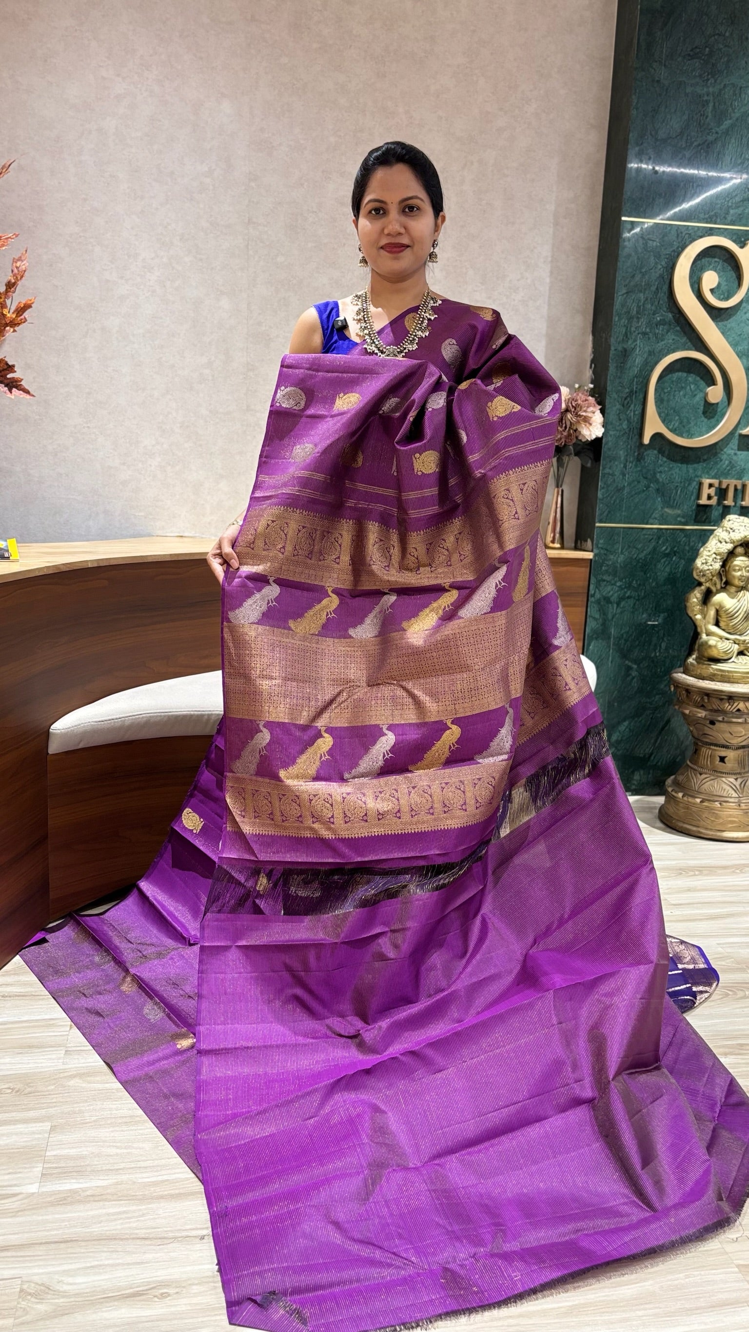 Handloom Kanchi pattu borderless