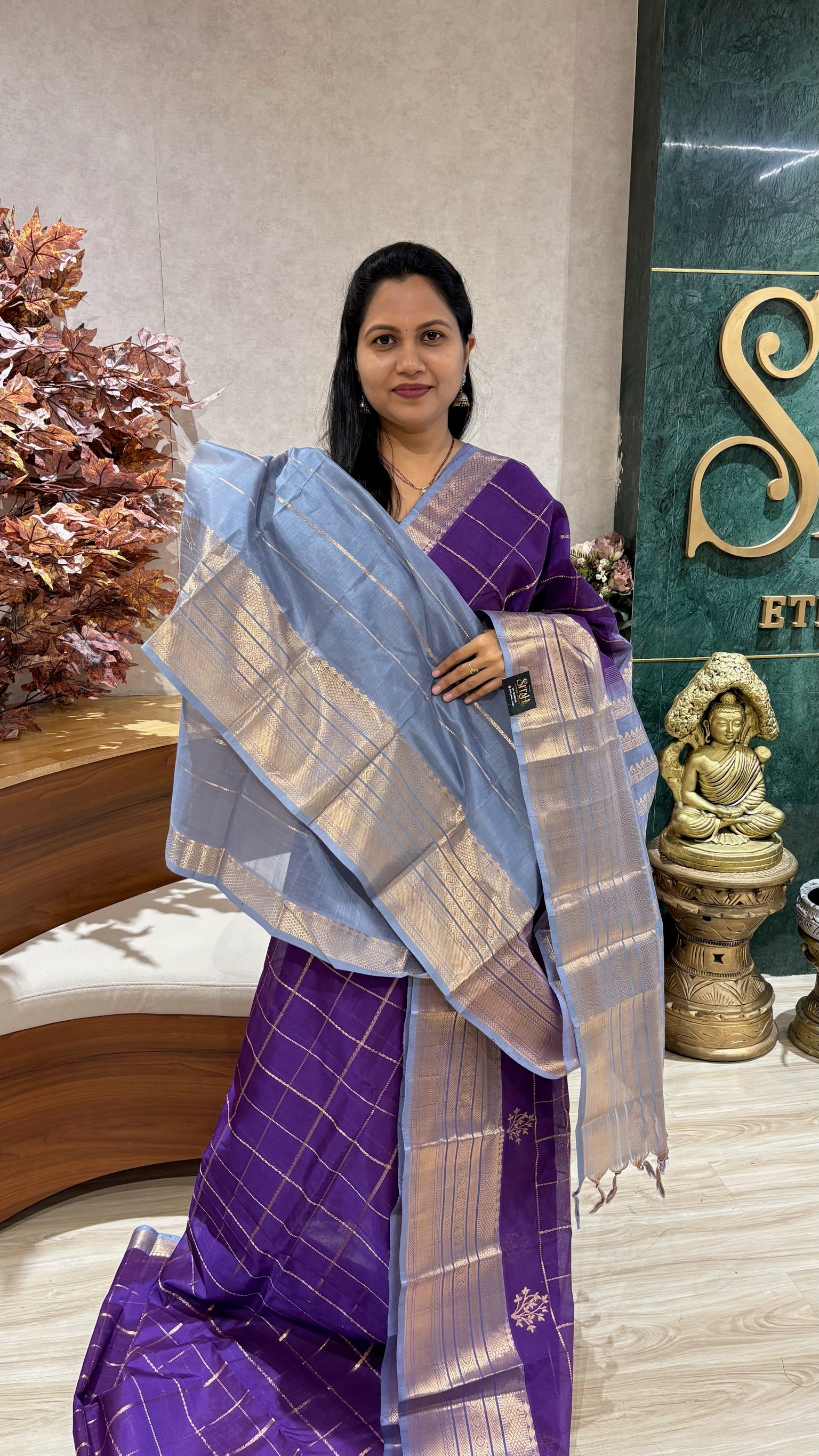 Handloom mangalgiri pattu