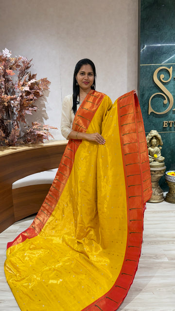 Gadwal tissue paithani