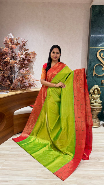 Pure silk paithani