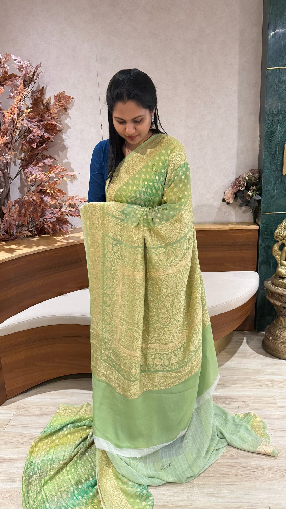 Handloom banaras georgette