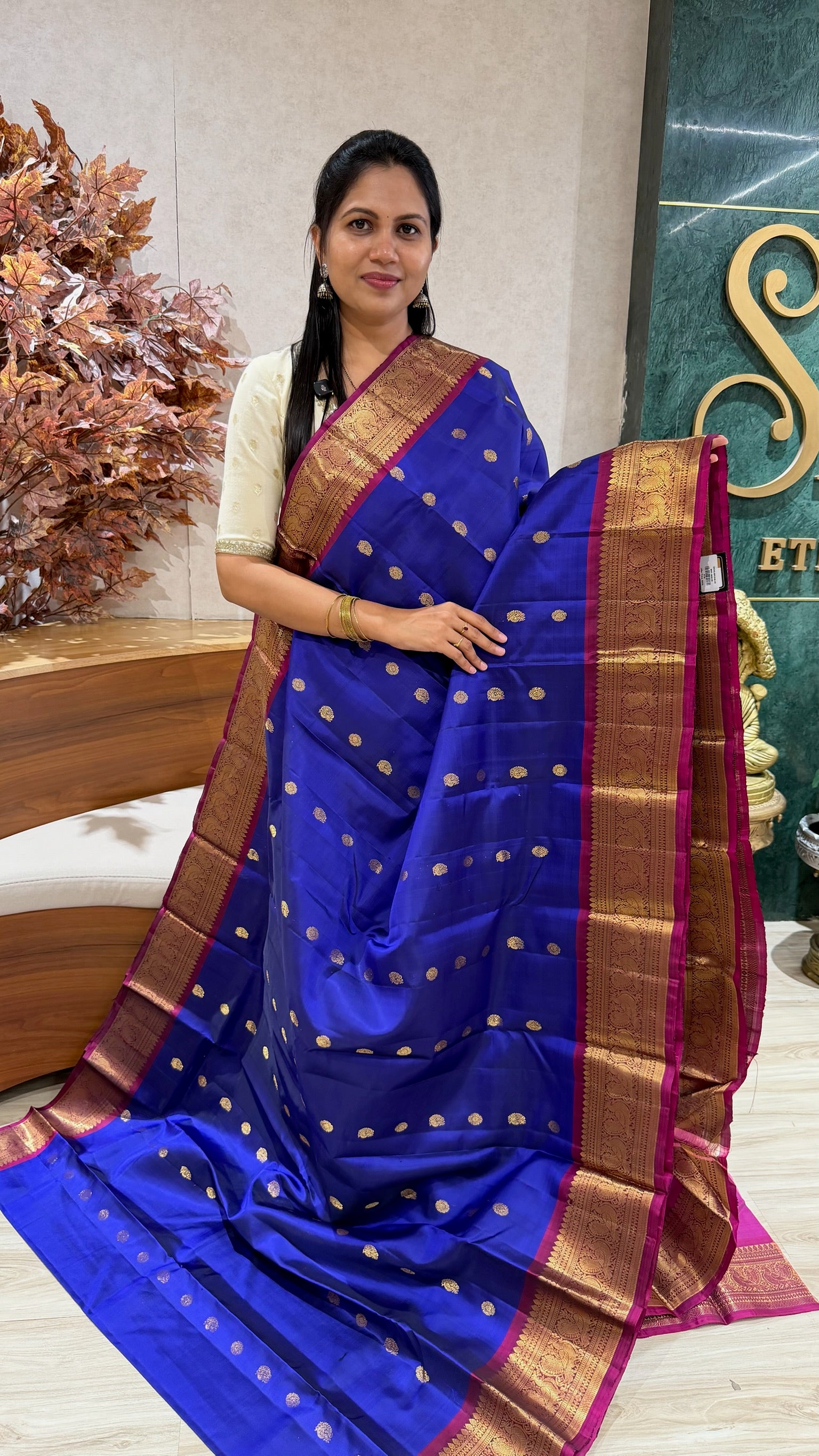 Handloom kanchi pattu