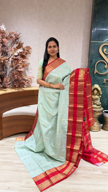 Pure Kanchi pattu
