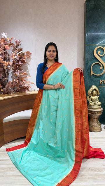 Pure silk paithani
