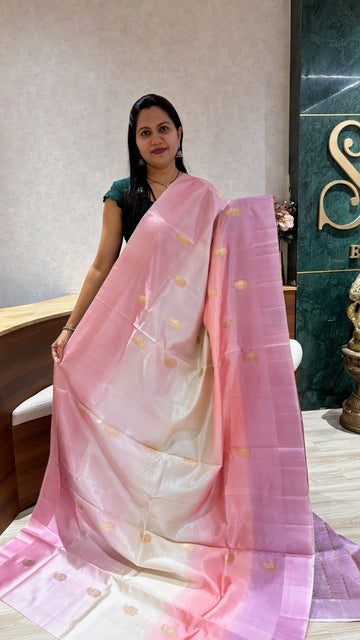 Handloom mango pattu
